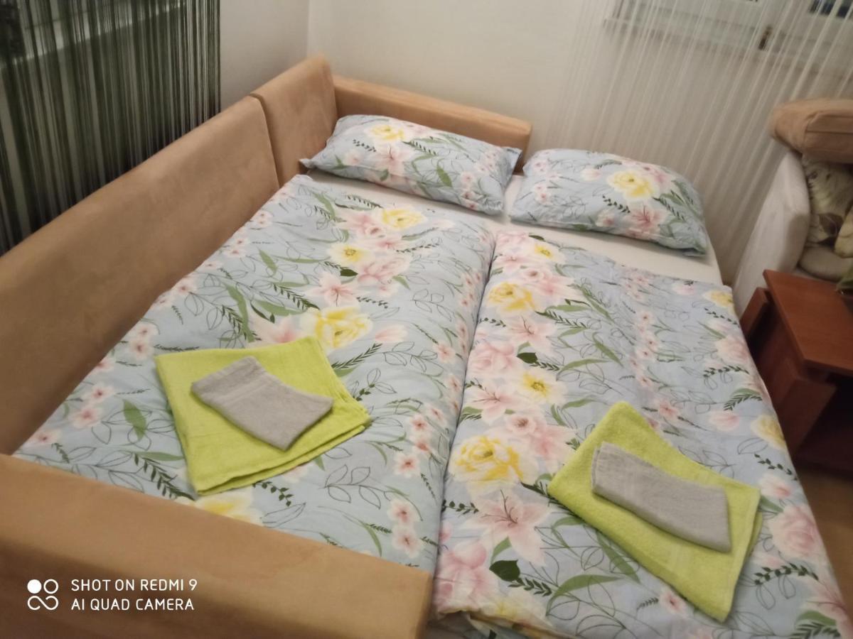 רקוביצה Yellow Rose מראה חיצוני תמונה