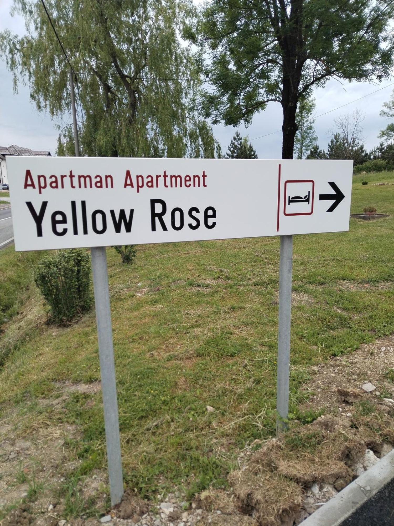 רקוביצה Yellow Rose מראה חיצוני תמונה