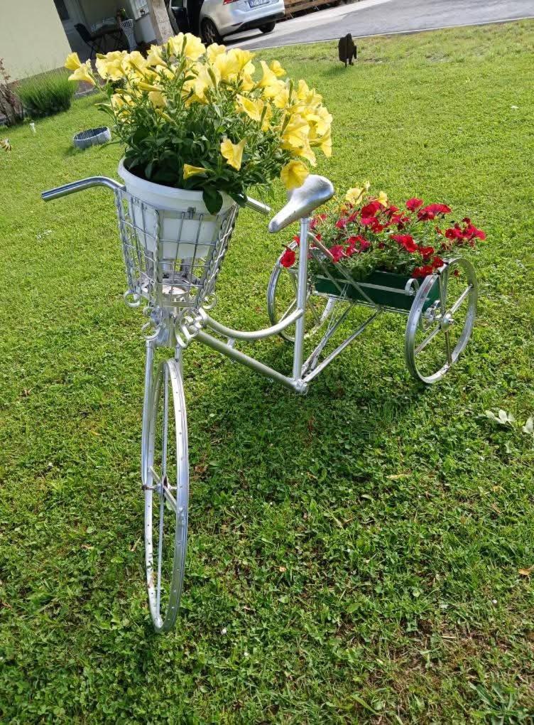 רקוביצה Yellow Rose מראה חיצוני תמונה